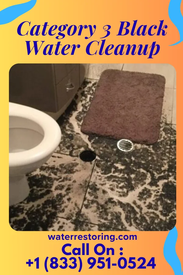 Category 3 Black Water Cleanup in Eldorado, OK