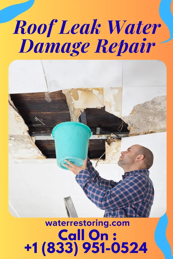 Roof Leak Water Damage Repair in Eldorado, OK
