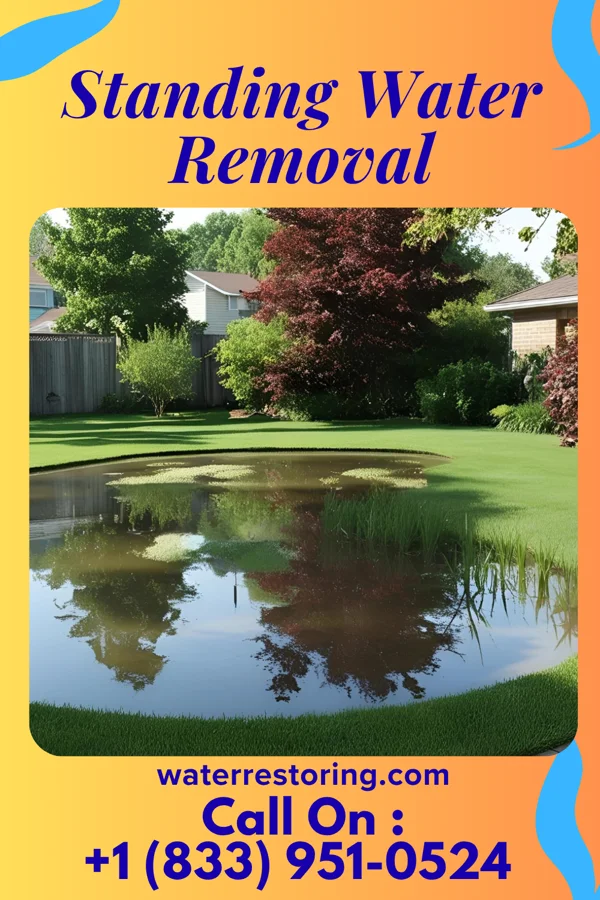 Standing Water Removal in Eldorado, OK